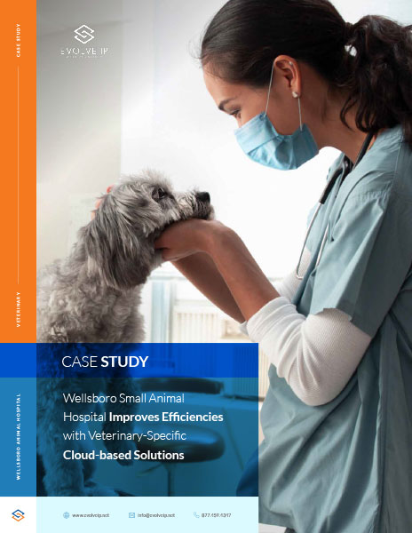 Case-Study--Wellsboro-Small-Animal-Hospital_thumb